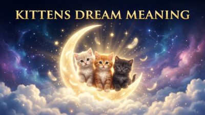 Kittens Dream Meaning