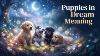 Puppies in Dream Meaning