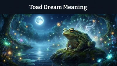 Toad Dream Meaning